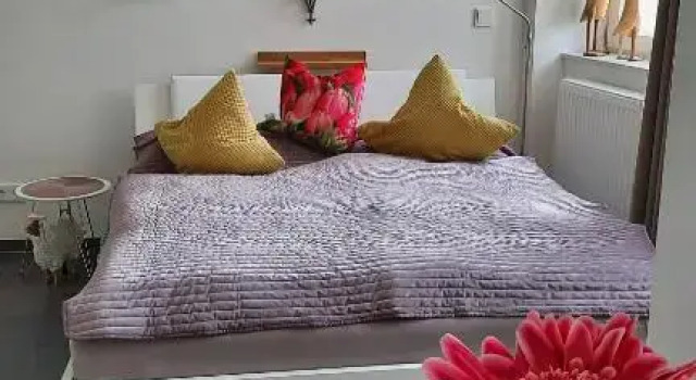 Apartment Am Zurlaubener Ufer, Réserver Appartement Trèves Trier-Saarburg