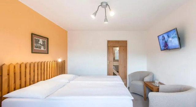 Двухместный номер Standard Hotel Rusava