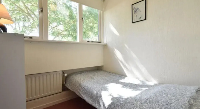 Alluring Holiday Home in Burgh Haamstede With Terrace, Book Hotel Burgh Haamstede 