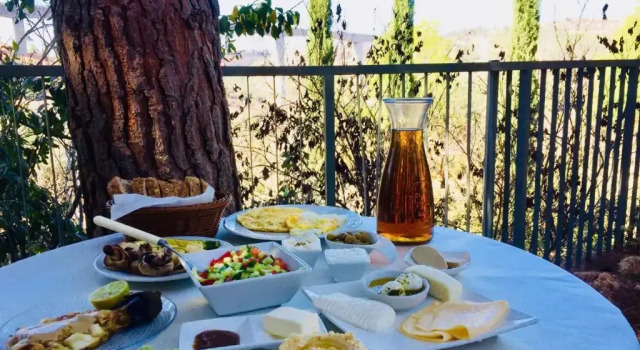 Люкс Tur Sinai Organic Farm Resort