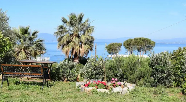 Студия Studio Holiday Kalamata