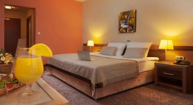 Двухместный номер Standard Hotel Kras