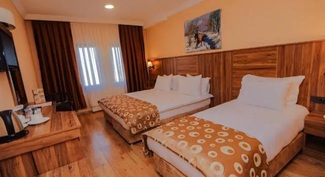 Номер Standard Emin Koçak Thermal & Spa - Convention Center