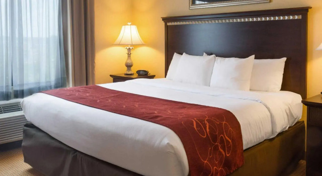 Люкс Comfort Suites Fredericksburg North