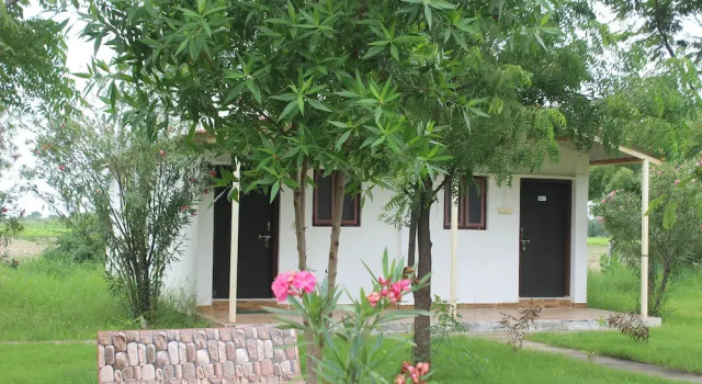 Номер Standard Little Rann Resort