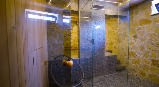 Felix Pension, Varaa Hotelli Hotellit Carpathians - Romania uima-altaalla, Uima-allas