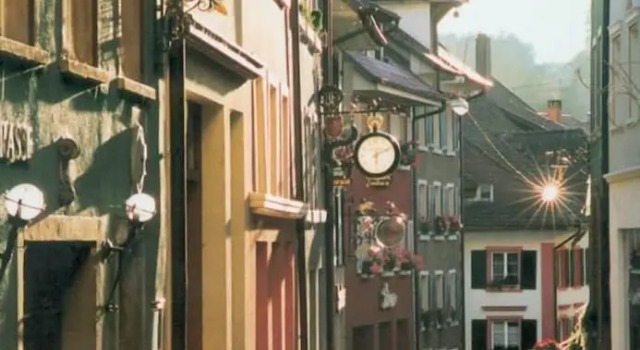 Brutsches Rebstock