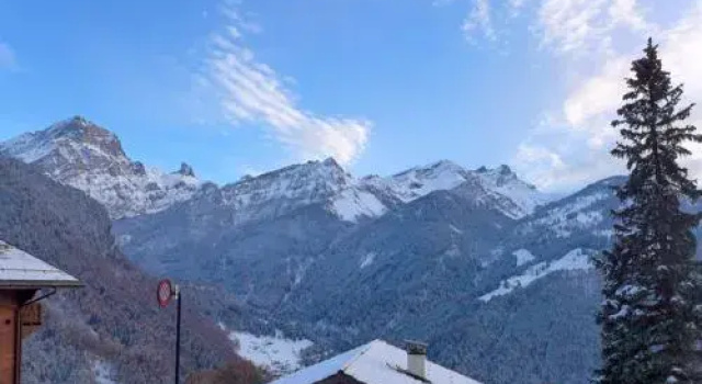 BELVéDèRE