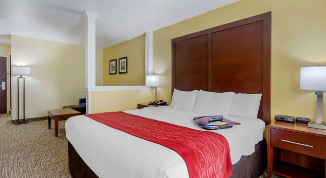 Двухместный люкс Comfort Inn & Suites Hillsville I-77