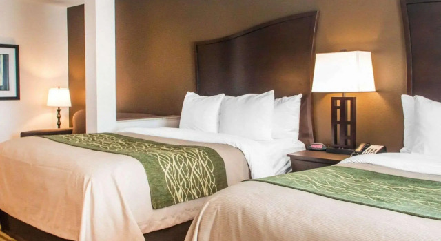 Четырёхместный номер Standard Comfort Inn & Suites Woodward