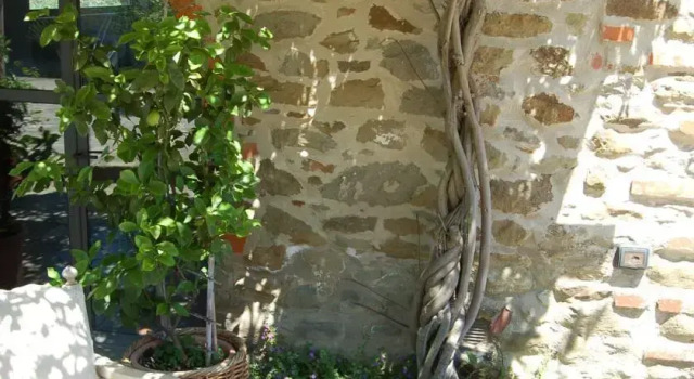 La Casuccia - Donnini, Prenota Hotel Donnini Valdarno