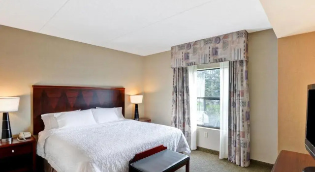 Люкс c 1 комнатой Hampton Inn Sayre