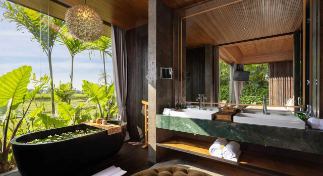 Номер Deluxe Gdas Bali Health and Wellness Resort