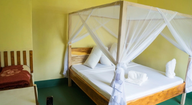 Двухместный номер Economy с красивым видом из окна New Siesta Inn