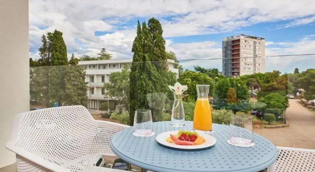 Семейный номер Standard с балконом и с видом на парк Hotel Sipar Plava Laguna