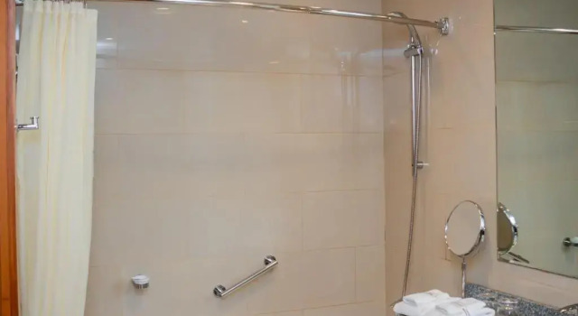 Полулюкс Sonesta Hotel Osorno