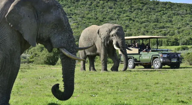 Shamwari Sarili Lodge