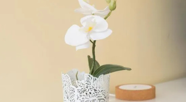RH Charming Apartment Liberdade II
