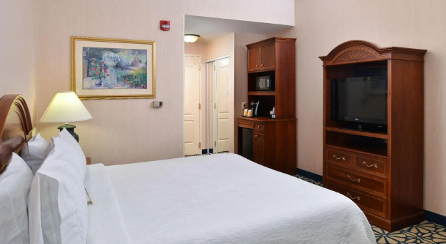 Двухместный номер Standard Hilton Garden Inn Columbia