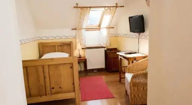 Одноместный номер Standard Hotel-Gasthof Weitgasser