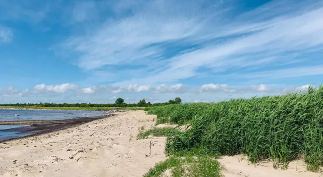 Muha Beach Holiday Home, Reserva ahora Hotel Riksu Saaremaa