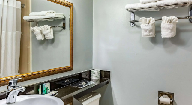 Двухместный номер Standard Quality Inn East Stroudsburg - Poconos