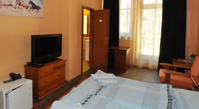 Двухместный номер Standard Hotel U Radnice