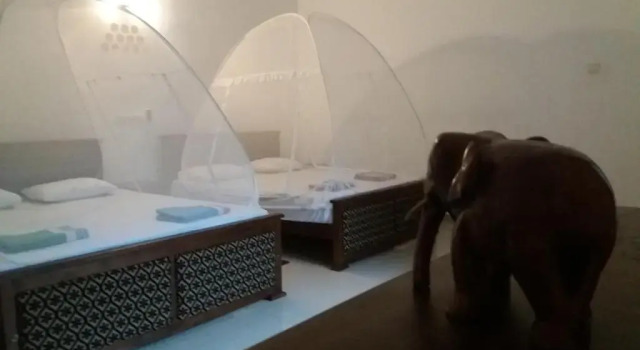 Семейный номер Superior Walawa Cottage and Family Villa