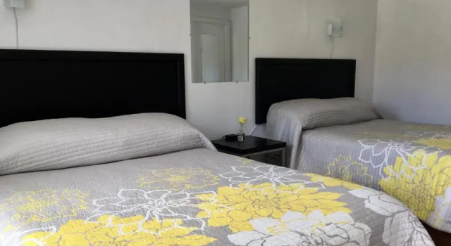 Номер Economy Kingfisher Lodging