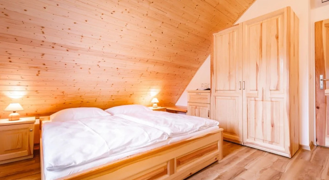 Номер Comfort SPA Pod javory