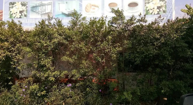 NT backpackers - Hostel