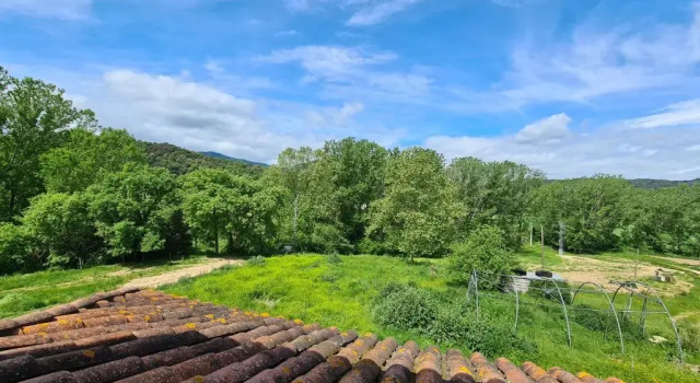 Номер Standard Harveys Homestay - Adults only