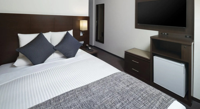 Двухместный номер Standard ART HOTEL Nippori Lungwood
