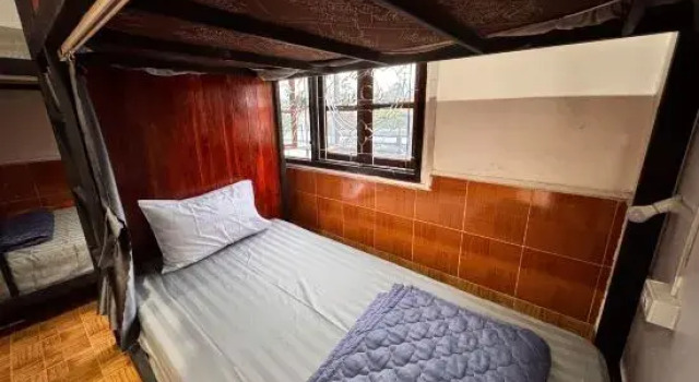 Кровать в общем номере Jungle Backpackers View