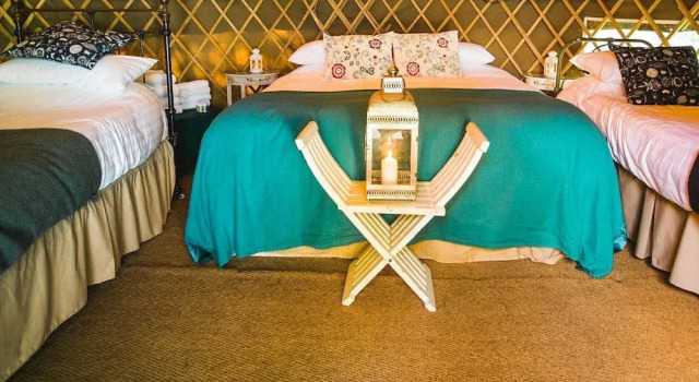 Oak - Yurt