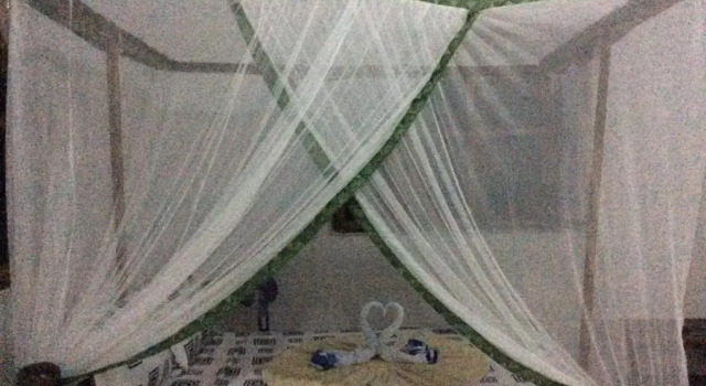 Коттедж Jambiani Holiday Villa