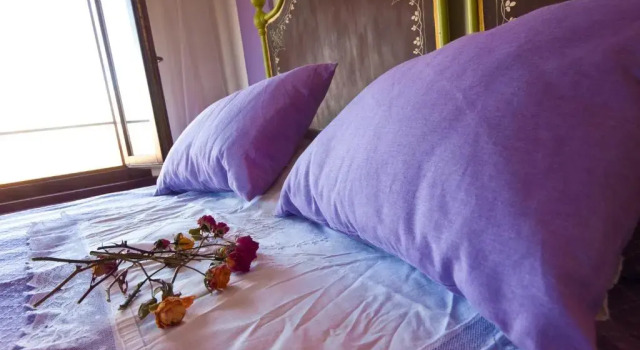 Camera Standard B&B di Spineto