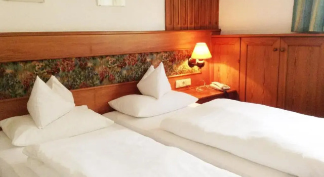 Двухместный номер Standard Hotel Grünes Türl
