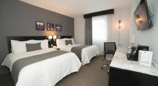 Двухместный номер Superior LaiLa Hotel Mexico City Reforma