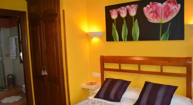 Апартаменты c 1 комнатой Apartamentos Rurales Piedrafita