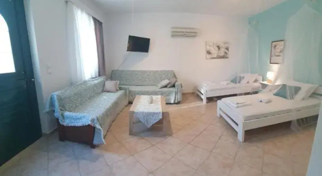 Vivis house
