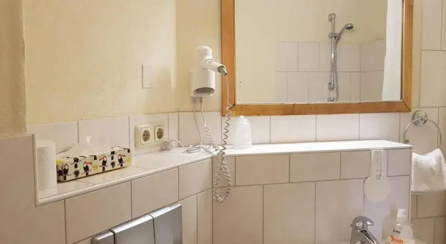 Двухместный номер Standard Hotel am Untreusee