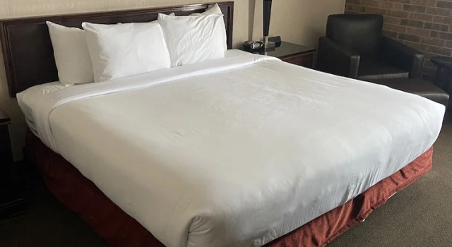 Номер Standard Hotel Lotus Kansas City Merriam
