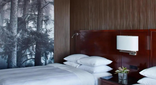 Двухместный номер Standard Minneapolis Marriott Southwest