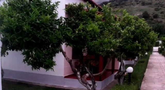 Apartment Villaggio Shehu
