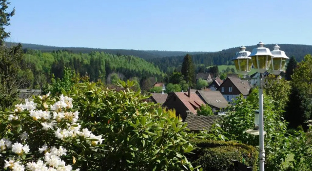 Номер Standard Pension Haus Petra