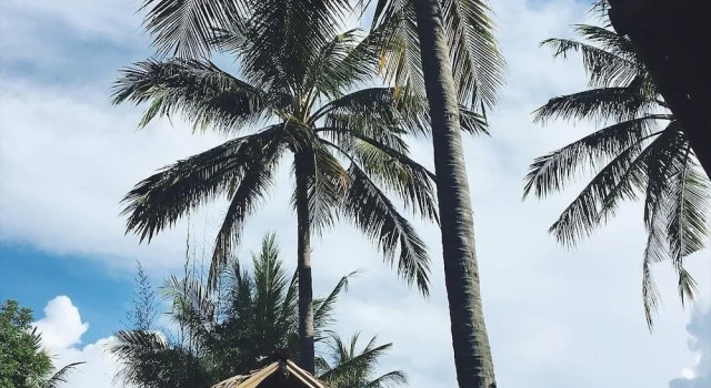 Двухместное бунгало с красивым видом из окна Rinjani Beach Eco Resort