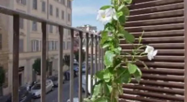 Vatican White Apartment - Vatican Cumfida, Забронировать Апартаменты/квартира Апартаменты Лацио, Апартаменты/квартира