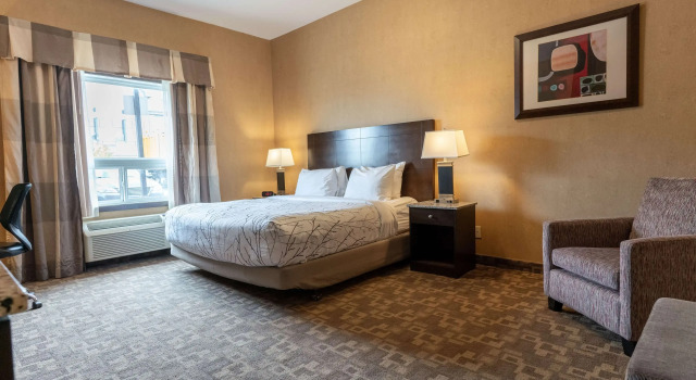 Двухместный номер Standard Best Western Plus South Edmonton Inn & Suites