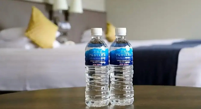 Номер Standard Premier Hotel Nakajima Park Sapporo